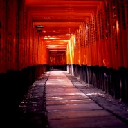 Hop the local train from Kyoto station, go a few stops to Fushimi-Inari and you'll end up at the famous Shinto shrine of the same name.