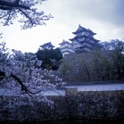 Himeji castle is nicknamed "the white crane". It is one of the finest examples of an original castle left in Japan.